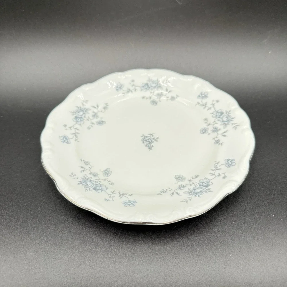 Johann Haviland Blue Garland Bavarian Germany China 10